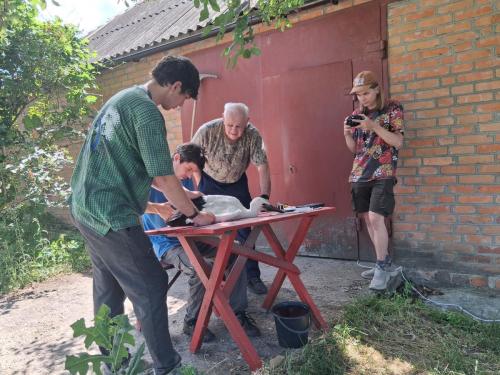 Усі результати вимірювань та зважувань вносяться до протоколу кільцювання